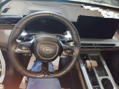 GAC Aion GS4 2024 MAX 1.5T Pilot Edition - ფოტო 10