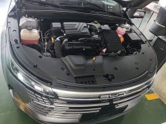 BYD Destroyer 05 2022 DM-i 120KM Flagship - ფოტო 20