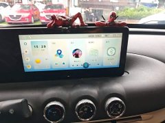 Wuling Binguo 333km Quick Enjoy Edition - ფოტო 13