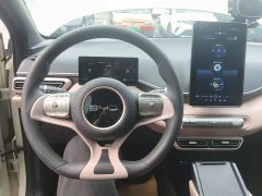 BYD Seagull Glory Edition 305km Vitality Version - ფოტო 10
