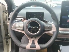 BYD Seagull Glory Edition 305km Vitality Version - ფოტო 11