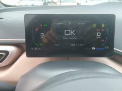 BYD Seagull Glory Edition 305km Vitality Version - ფოტო 12