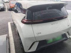 BYD Seagull Glory Edition 305km Vitality Version - ფოტო 5