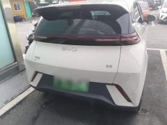 BYD Seagull Glory Edition 305km Vitality Version - ფოტო 6