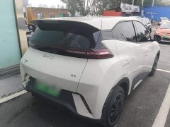 BYD Seagull Glory Edition 305km Vitality Version - ფოტო 7