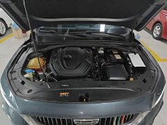 Geely Xingrui 2.0T Diesel Luxury - ფოტო 20