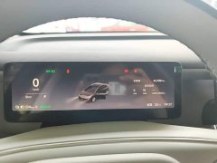 Leapmotor B01 550 Pleasure Edition - ფოტო 12