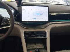 BYD Song Plus New Energy 2025 DM-i 112KM Prestige - ფოტო 13