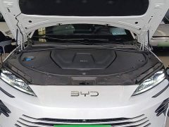 BYD Song Plus New Energy 2025 DM-i 112KM Prestige - ფოტო 20