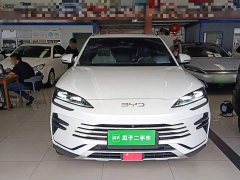 BYD Song Plus New Energy 2025 DM-i 112KM Prestige - ფოტო 3