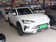 BYD Song Plus New Energy 2025 DM-i 112KM Prestige - ფოტო 4