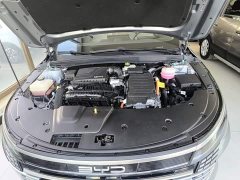 BYD Destroyer 05 Glory Edition DM-i 55KM Luxury - ფოტო 20