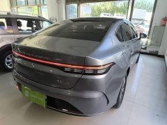 BYD Destroyer 05 Glory Edition DM-i 55KM Luxury - ფოტო 7