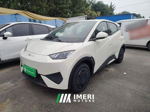 2026 BYD Seagull Smart Drive 305km Vitality Edition