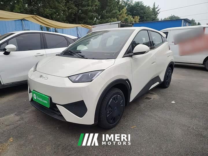 BYD Seagull Smart Drive 305km Vitality Edition