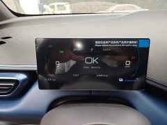 BYD Seagull 2025 Smart Drive 305km Vitality Edition - ფოტო 12
