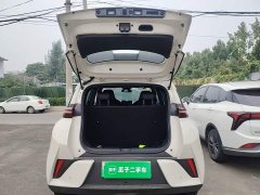 BYD Seagull 2025 Smart Drive 305km Vitality Edition - ფოტო 19