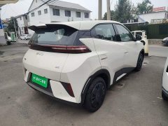 BYD Seagull 2025 Smart Drive 305km Vitality Edition - ფოტო 7
