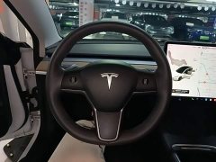 Tesla Model 3 Standard Range RWD Upgrade - ფოტო 11