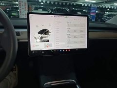 Tesla Model 3 Standard Range RWD Upgrade - ფოტო 13