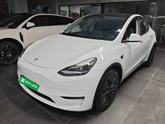 Tesla Model Y Long Range All-Wheel Drive 3D7 - ფოტო 1