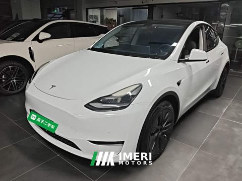 2021 Tesla Model Y Long Range All-Wheel Drive 3D7 - ავტომობილი ჩინეთიდან