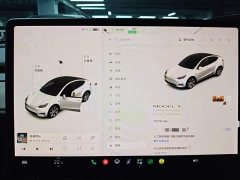 Tesla Model Y Long Range All-Wheel Drive 3D7 - ფოტო 12
