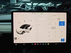 Tesla Model Y Long Range All-Wheel Drive 3D7 - ფოტო 13