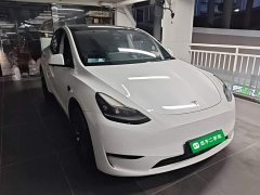 Tesla Model Y Long Range All-Wheel Drive 3D7 - ფოტო 4