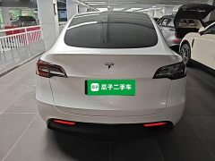 Tesla Model Y Long Range All-Wheel Drive 3D7 - ფოტო 6
