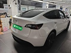 Tesla Model Y Long Range All-Wheel Drive 3D7 - ფოტო 7