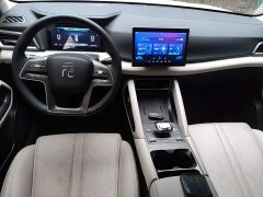 BYD Yuan UP 401KM Vitality Edition - ფოტო 10