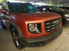 Great Wall Dachshund 1.5T DCT Two-Wheel Drive Husky Edition - ფოტო 4