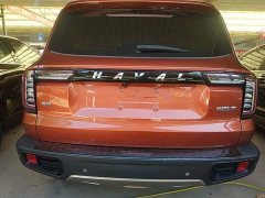 Great Wall Dachshund 1.5T DCT Two-Wheel Drive Husky Edition - ფოტო 6