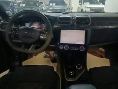Lynk & Co Geely Lynk & Co 03 2.0T Automatic Wind Control Edition - ფოტო 10