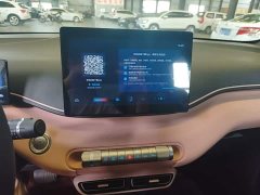 BYD Seagull Flying Edition - ფოტო 13