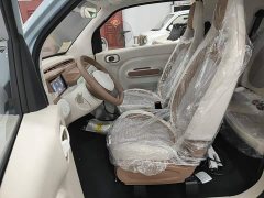 FAW Besturn Xiaoma 222km Colorful Edition - ფოტო 15