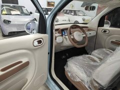 FAW Besturn Xiaoma 222km Colorful Edition - ფოტო 16