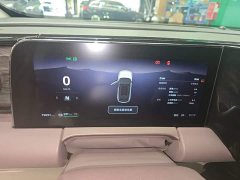 Leapmotor Leapo C11 2021 Premium Edition - ფოტო 8