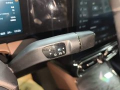 Leapmotor C11 2021 Facelift Luxury - ფოტო 14