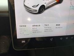 Tesla Model 3 Facelift Standard Range RWD Upgrade 3D1 - ფოტო 12