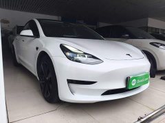 Tesla Model 3 Facelift Standard Range RWD Upgrade 3D1 - ფოტო 4