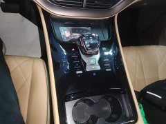 Denza D9 2022 DM-i 970 AWD Flagship - ფოტო 14