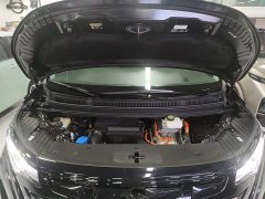 Denza D9 2022 DM-i 970 AWD Flagship - ფოტო 20