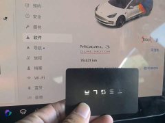 Tesla Model 3 Performance All-Wheel Drive - ფოტო 8