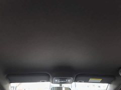 BYD Seagull Glory Edition 305km Freedom Version - ფოტო 14