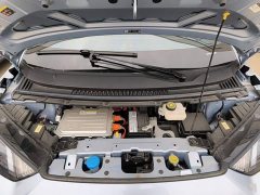 BYD Seagull Glory Edition 305km Freedom Version - ფოტო 16