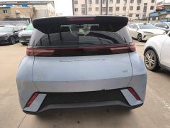 BYD Seagull Glory Edition 305km Freedom Version - ფოტო 4