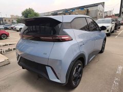 BYD Seagull Glory Edition 305km Freedom Version - ფოტო 5