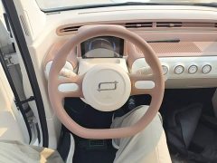 FAW Besturn Xiaoma 222km Colorful Edition - ფოტო 11